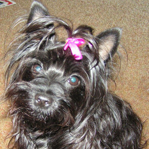 Meet your Posher, Ginnie